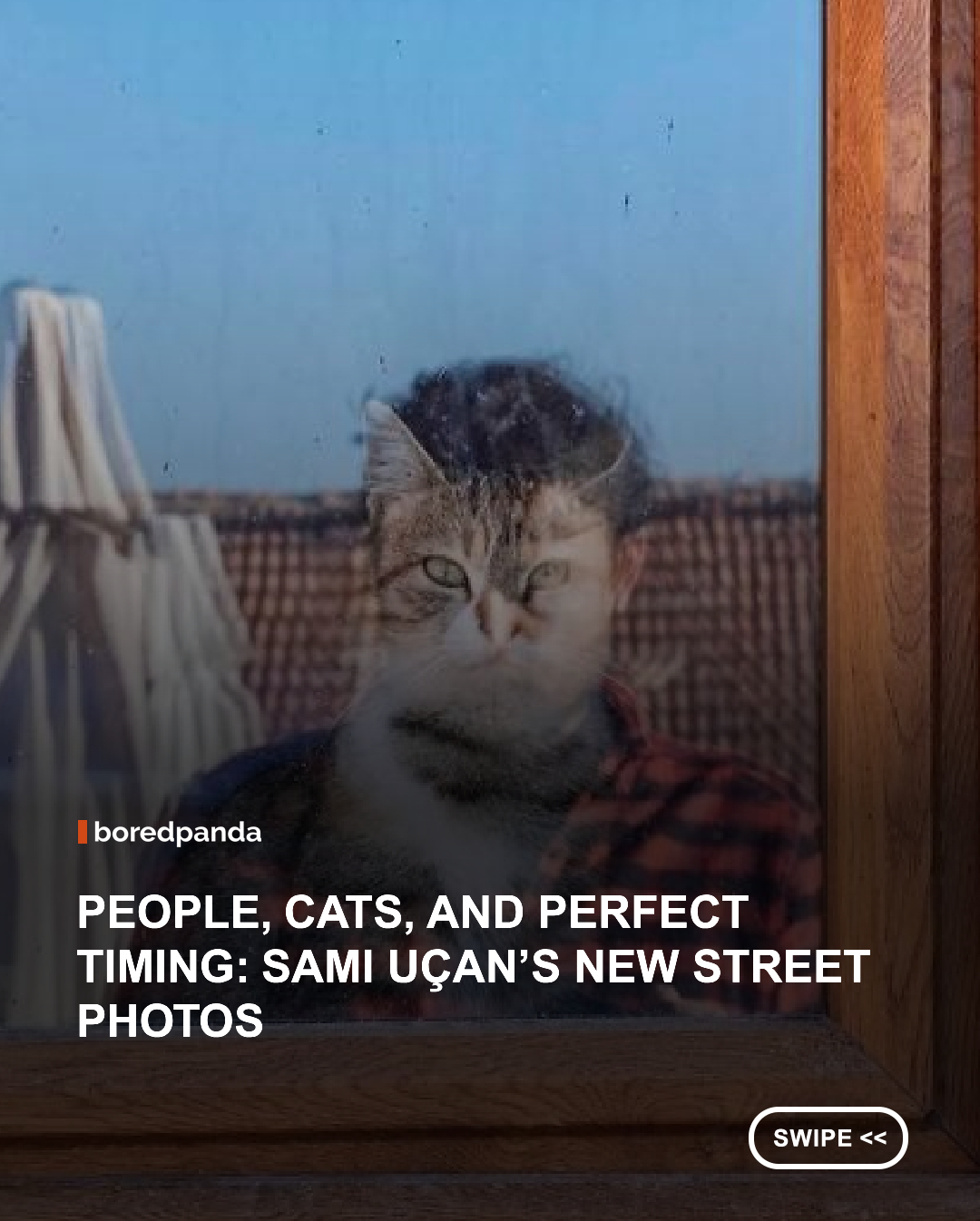 For more than 16 years, Sami Uçan has explored the streets of Istanbul with his camera, documenting the city's ever-changing rhythm through moments most people would simply walk past. His photographs rely on patience, impeccable timing, and a keen eye for visual relationships, capturing the brief instant when people, animals, architecture, reflections, and light unexpectedly fall into perfect harmony.

