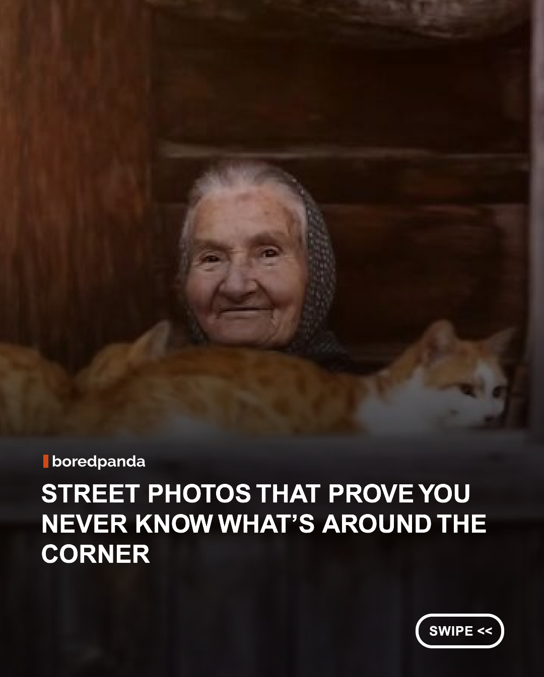Street photography turns ordinary, fleeting moments into images that stay with us. A coincidence, a perfectly timed shadow, or a split-second scene can become a memorable snapshot of everyday life.

That idea is at the heart of the Pure Street Photography Awards 2027, an international competition celebrating street photography from around the world. For 2027, photographers can enter Colour, Black & White, and Animal categories, with winners receiving cash prizes, trophies, exhibition opportunities, and international exposure.

As a little warm-up, we’ve selected 40 shots from Pure Street Photography’s Instagram page that capture the funny, unexpected, poetic, and sometimes mysterious side of life on the streets.