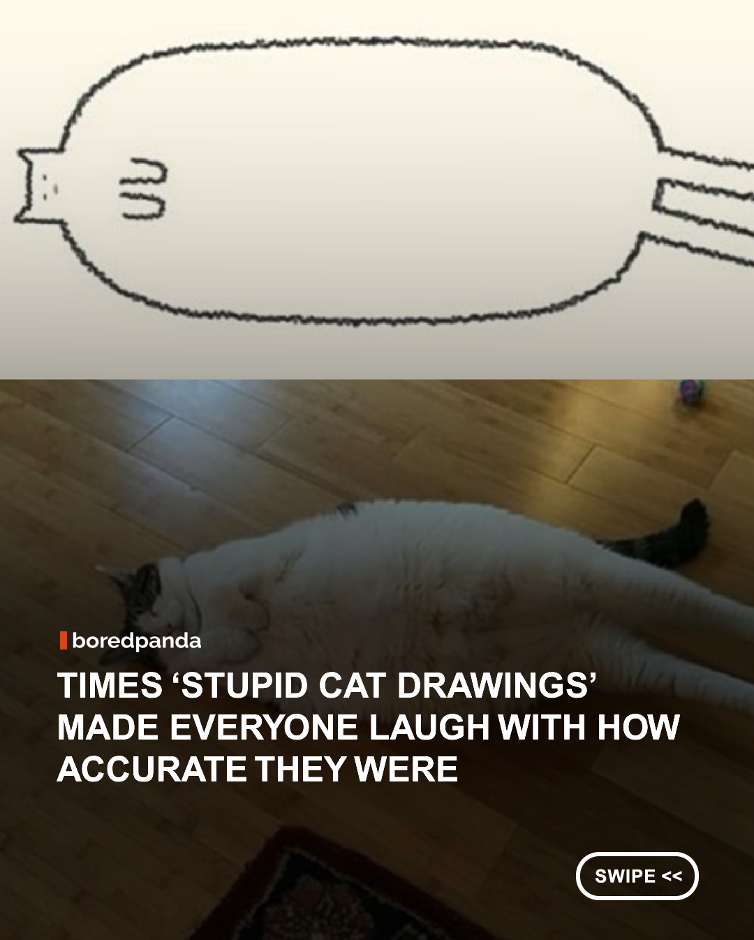 Cats come in all shapes and forms. Even liquid. Documenting them all, an Instagram account called DailyPurrr is creating "stupid cat drawings on [a] daily basis." The portraits they share are purrrfect combinations of simplicity and humor, and even you'll be able to replicate them!

From chilling on the sofa to sliding down the stairs, some of these funny drawings were inspired by famous internet cats while others were done based on follower submissions.