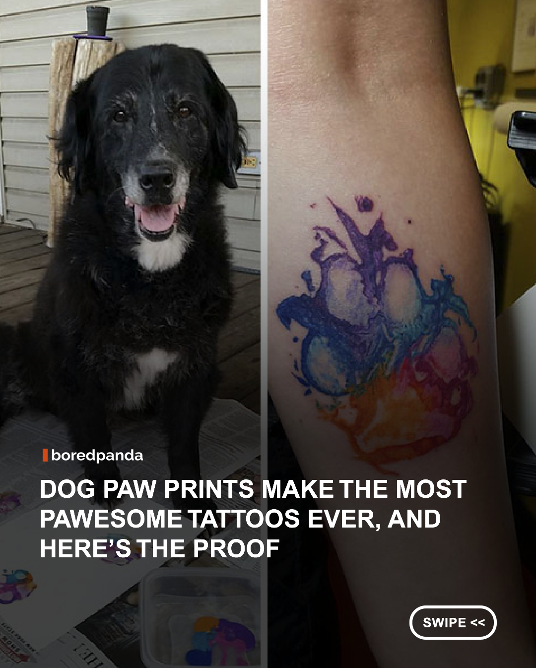 If you are a dog owner, you will understand, the bond between you and your pup is strong and deserves to be celebrated and immortalized as a tattoo design tribute to your precious pooch.

Generic paw print tattoos have been on trend for some years now, but these tattoo ideas are even more meaningful. Bored Panda has compiled a list of people who have gotten unique tattoos that are exact replicas of their dog’s paw, and they are just adorable.

These dog paw tattoos will live on in loving memory of your best buddy, who always remains with you forever. This is a cool tattoo trend that we can see catching on as a beautiful and personal way of showing your love for your canine companion.