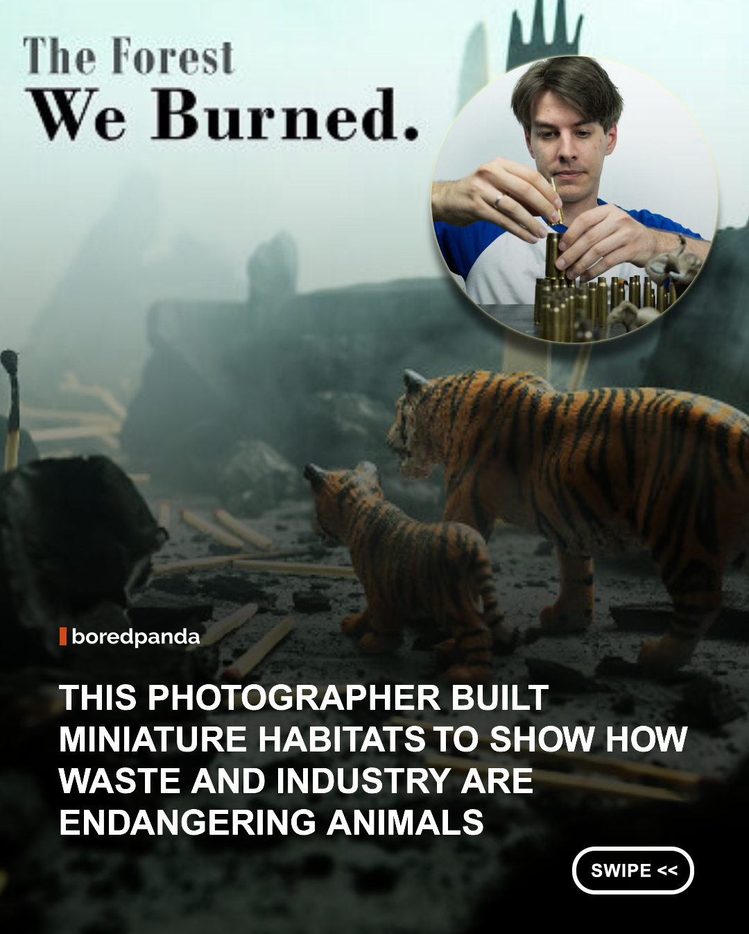 What if the natural landscapes we replaced with roads, buildings, and construction sites were still there?



Hungarian photographer Benedek Lampert explores that idea through a fascinating series of miniature photographs. Using carefully built models, everyday objects, and real-world locations, he creates surreal scenes where trees, plants, and wildlife appear to reclaim the concrete environments around us. 📸🌿



His photographs blur the line between reality and miniature art, transforming ordinary construction sites and urban spaces into thought-provoking scenes that make us imagine what existed there before development took over.



The project isn't just visually clever. It also offers a simple reminder of how dramatically human development has changed the landscapes around us.



#Art #BenedekLampert #Wildlife