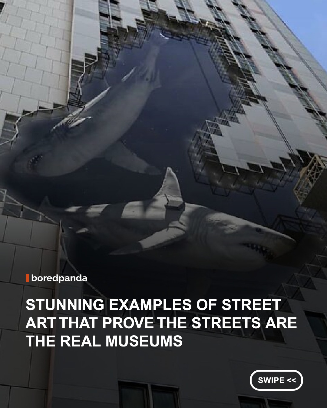From enormous murals covering entire buildings to clever installations that interact with architecture and their surroundings, street art can transform even the most ordinary urban spaces into unexpected visual experiences. The artists featured by Street Art News work across styles and mediums, using walls, buildings, streets, and other elements of the city as part of their canvas. Some pieces are bold and impossible to miss, while others reveal themselves through intricate details, optical illusions, or playful interactions with the environment.