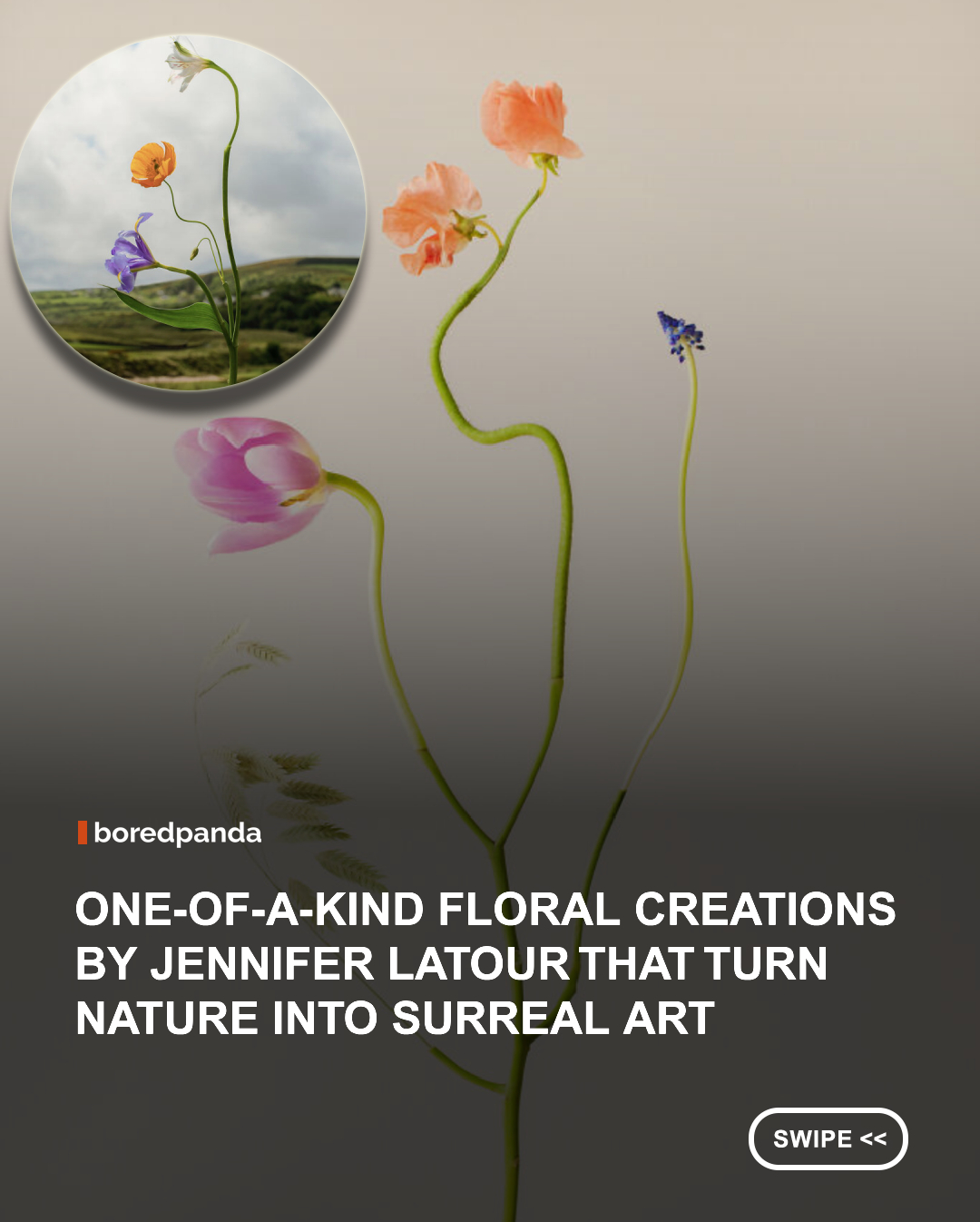 Step into Jennifer Latour’s imaginative world, where flowers become surreal, one-of-a-kind works of art. @bonjourlatour The Canadian artist and photographer hand-builds fantastical botanical compositions from real flowers and plants, creating delicate “new species” that blur the line between nature, sculpture, and photography.

Explore Jennifer’s creative floral compositions and discover the playful details, unexpected forms, and incredible craftsmanship behind each piece. Prints of Jennifer’s art are also available, including limited-edition artworks through Open Doors Gallery.
