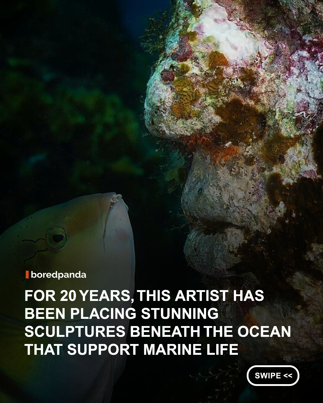 Jason deCaires Taylor needs little introduction to many Bored Panda readers. The British sculptor, environmentalist, and underwater photographer is widely recognized as a pioneer of underwater museums and sculpture parks, having created more than 1,200 public works across submerged, tidal, and terrestrial environments over the past two decades. His installations have appeared in places including Grenada, Mexico, the Maldives, Australia, Lanzarote, Cyprus, and France, transforming the seafloor into spaces where art and marine ecosystems can develop side by side. 