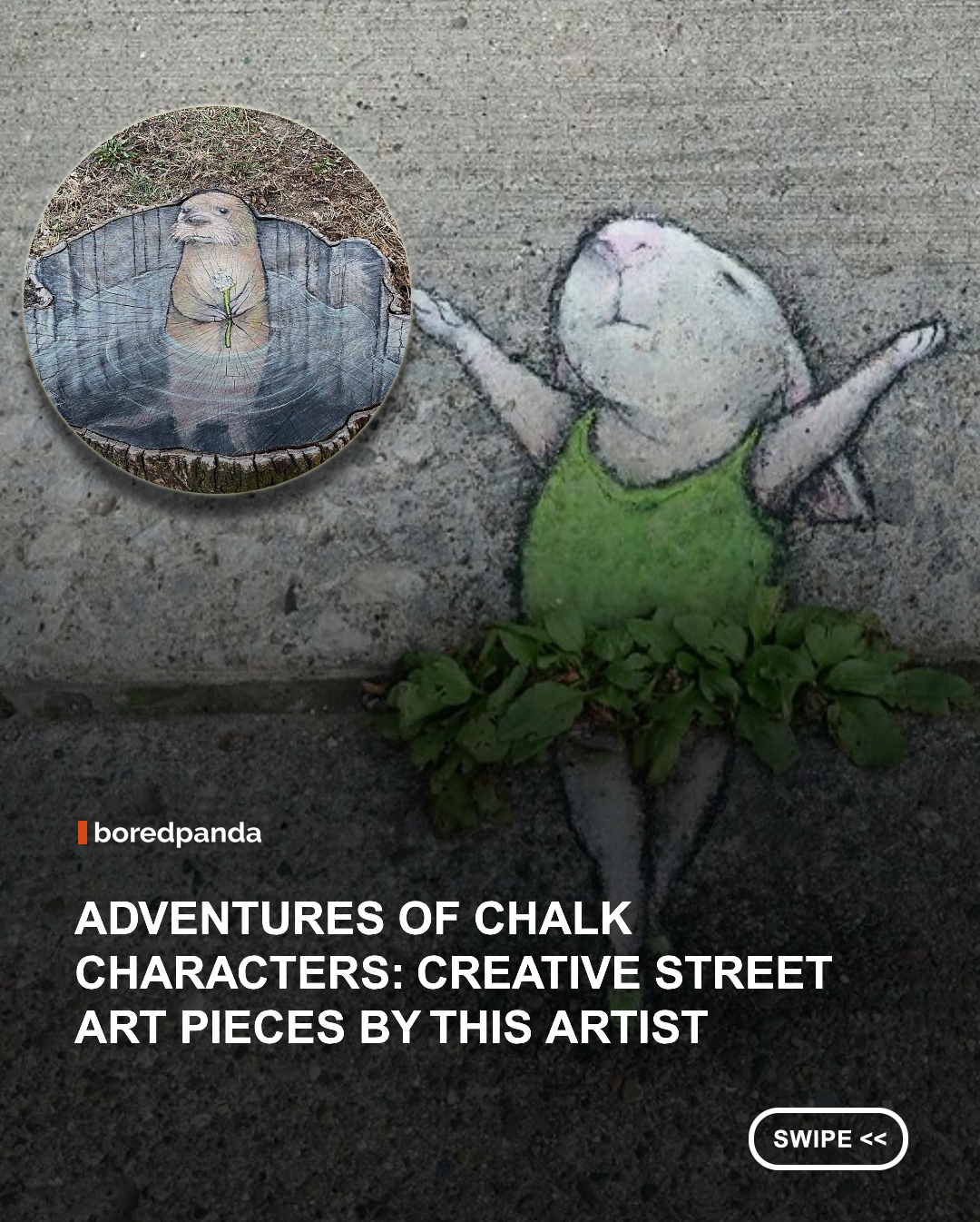 There’s only so much most of us can see when looking at basic pavement. Not David Zinn, though. This talented artist is from Ann Arbor, Michigan, and is well-known for his chalk-drawn pieces on the streets.