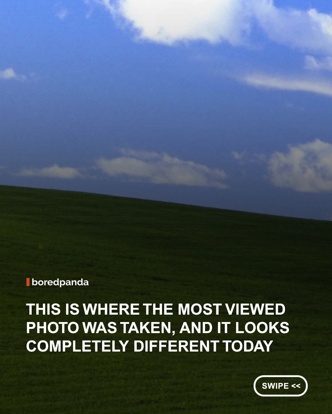 For millions of people, the Windows XP “Bliss” wallpaper is pure nostalgia. But the real location looks surprisingly different today.

The iconic photo was taken in 1996 by photographer Charles “Chuck” O’Rear in Sonoma County, California. The lush green hill was actually a former vineyard, temporarily covered in grass after a phylloxera outbreak forced the grapevines to be removed.

Today, the hill is covered with agricultural crops and grapevines, and during California’s dry summers, it can look completely brown and unrecognizable. Visit during the wetter season, though, and you might still catch a glimpse of the landscape that became one of the most recognizable computer backgrounds ever. #windowsxp #Bliss #Nostalgia