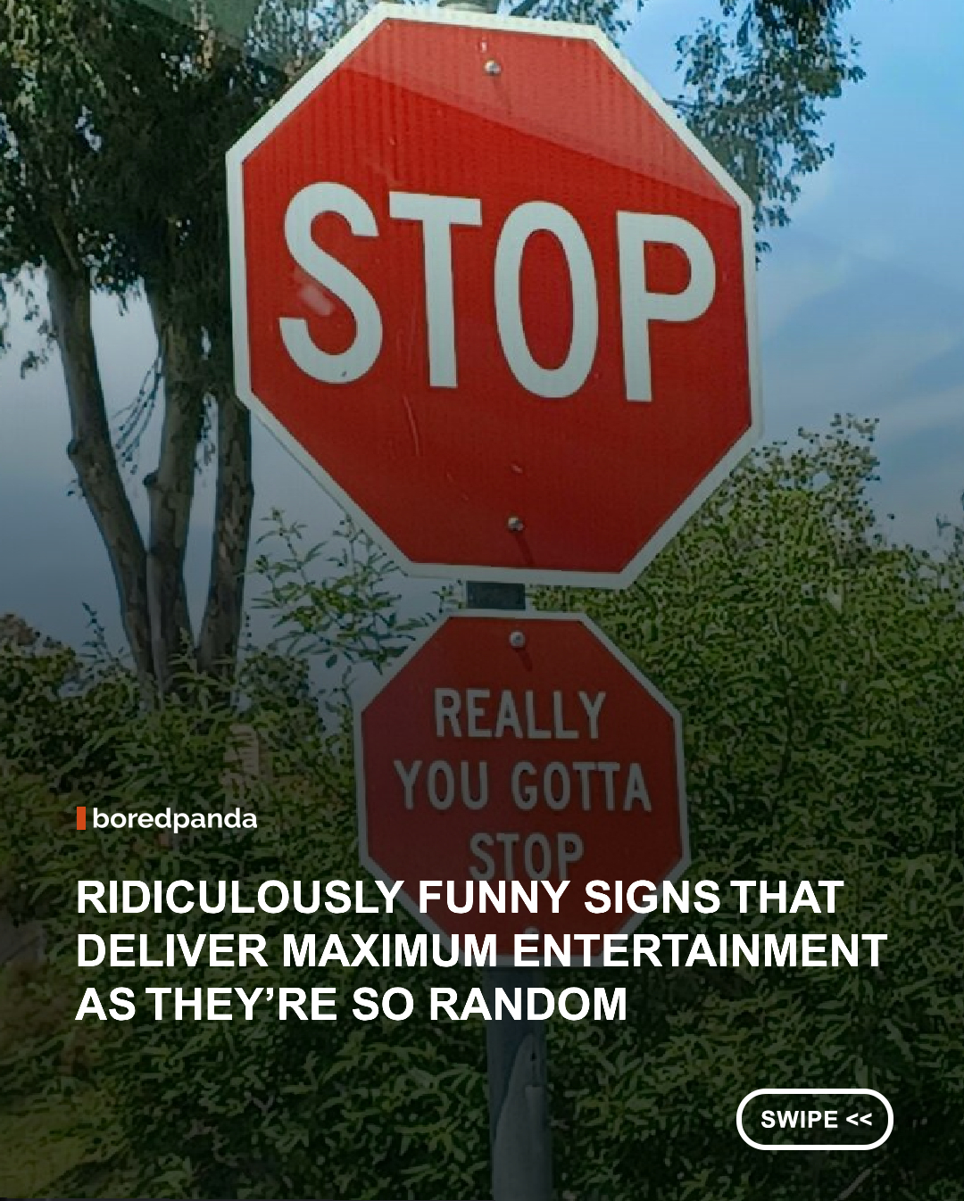 We found a collection of some seriously unusual signs from around the world, and a few of them are guaranteed to leave you wondering what happened before that sign went up. Swipe and prepare for a few double takes, a lot of questions, and signs you definitely won’t forget anytime soon.