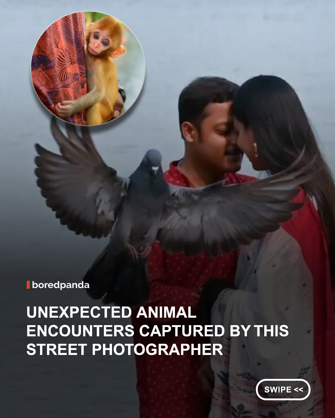In street photography, sometimes, the most memorable character to wander into the frame isn’t even human. That’s certainly true in the work of Indian street photographer Pranay Pariyar. Born and raised in Gangtok, Sikkim, Pariyar’s interest in art began with painting and sketching before photography eventually took over. He picked up his first DSLR while living in London around 2015, experimented with different subjects, and gradually found himself drawn to the spontaneity of life on the street.