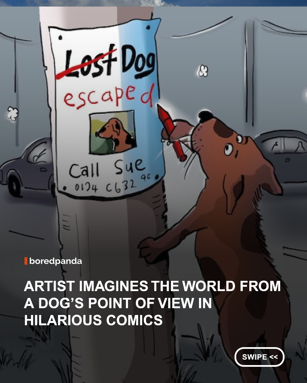Dogs run on a logic all their own. A walk is the day's biggest event, food always deserves investigating, and many human rules must seem baffling from knee height. Cartoonist George Webster explores exactly that in his new series, Dog Logic, where dogs browse rescue websites, puzzle over fitness trackers, meet their first elevator, and wonder why humans take so long to drop food from the table.
