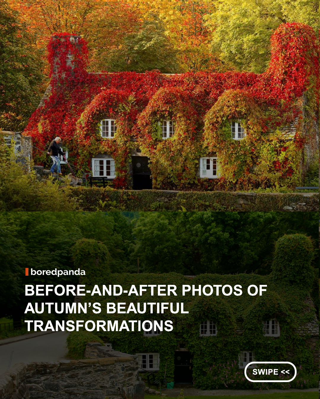 Sometimes nature changes so gradually that we barely notice it happening. Then autumn arrives, and suddenly the same landscapes look completely different.



These photos capture the transformation of familiar places from summer to autumn, as green leaves give way to rich shades of yellow, orange, red, and brown.



The change happens because chlorophyll, the pigment responsible for leaves’ green color, gradually breaks down as temperatures and daylight decrease, revealing the other colors hidden in the leaves.



Swipe through to see how dramatically a little autumn color can transform an already beautiful landscape.



📸: 

unicorn81 ,g7preston  

Kadek Susanto, Pete Wongkongkathep  

Kacper Kowalski

影 武者 , nipomen2  

Martin Molcan , Andrew Shaland  

Mathieu Noel ,fen_snapz  

Jim Liestman ,Ajay Thakur  

Jessica Jenney ,BooRad0859  
