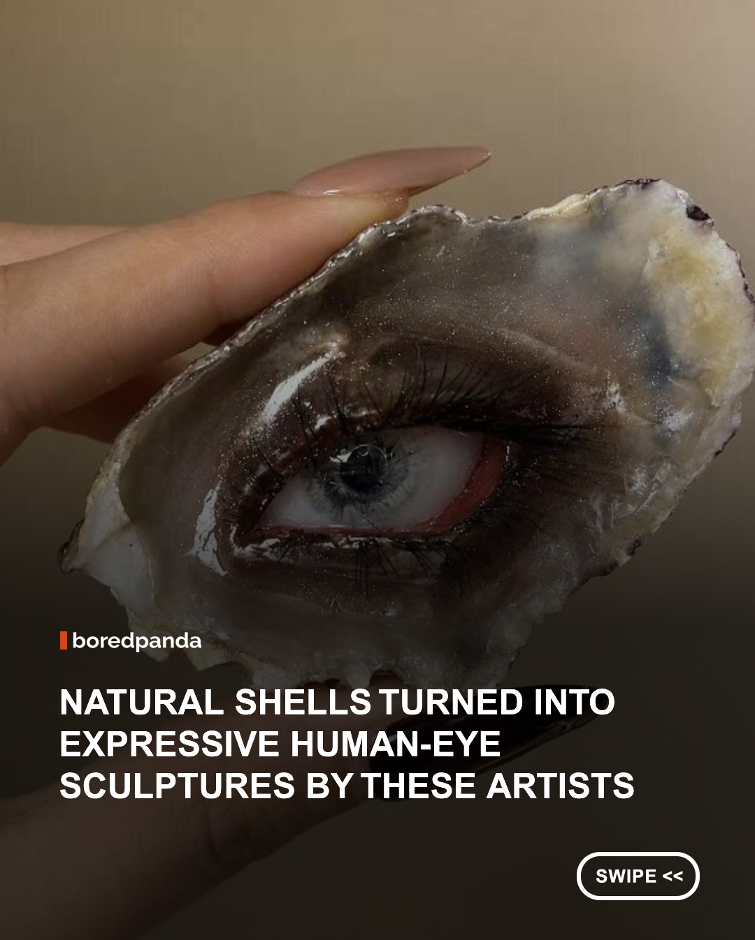It’s easy to see a seashell as just a seashell…Until someone gives it a pair of eyes and turns it into wearable art. Artists Angie and Yoori have made that transformation the heart of Shell Oracle, creating captivating handmade pieces that blur the line between nature and the human form. 

Growing up with a deep passion for creation, both artists brought distinct, specialized backgrounds into the studio. As they shared with Bored Panda, Angie studied cultural heritage restoration, developing a strong sensitivity to materials, structural stability, and soldering techniques, while Yoori spent twelve years in art training and fashion design, exploring recurring motifs like eyes and silhouettes. Although both pursued their individual artistic paths, connecting with one another sparked the idea to combine their skills and bring Shell Oracle to life.

Through years of collaboration, a unique collection of shell-eye artworks has bloomed, and team members Zan and Shio joined to help build the growing studio. You can now dive into the artists' creative process, from selecting natural shells and sculpting intricate human-eye motifs to treating the materials and engineering the final metal construction.