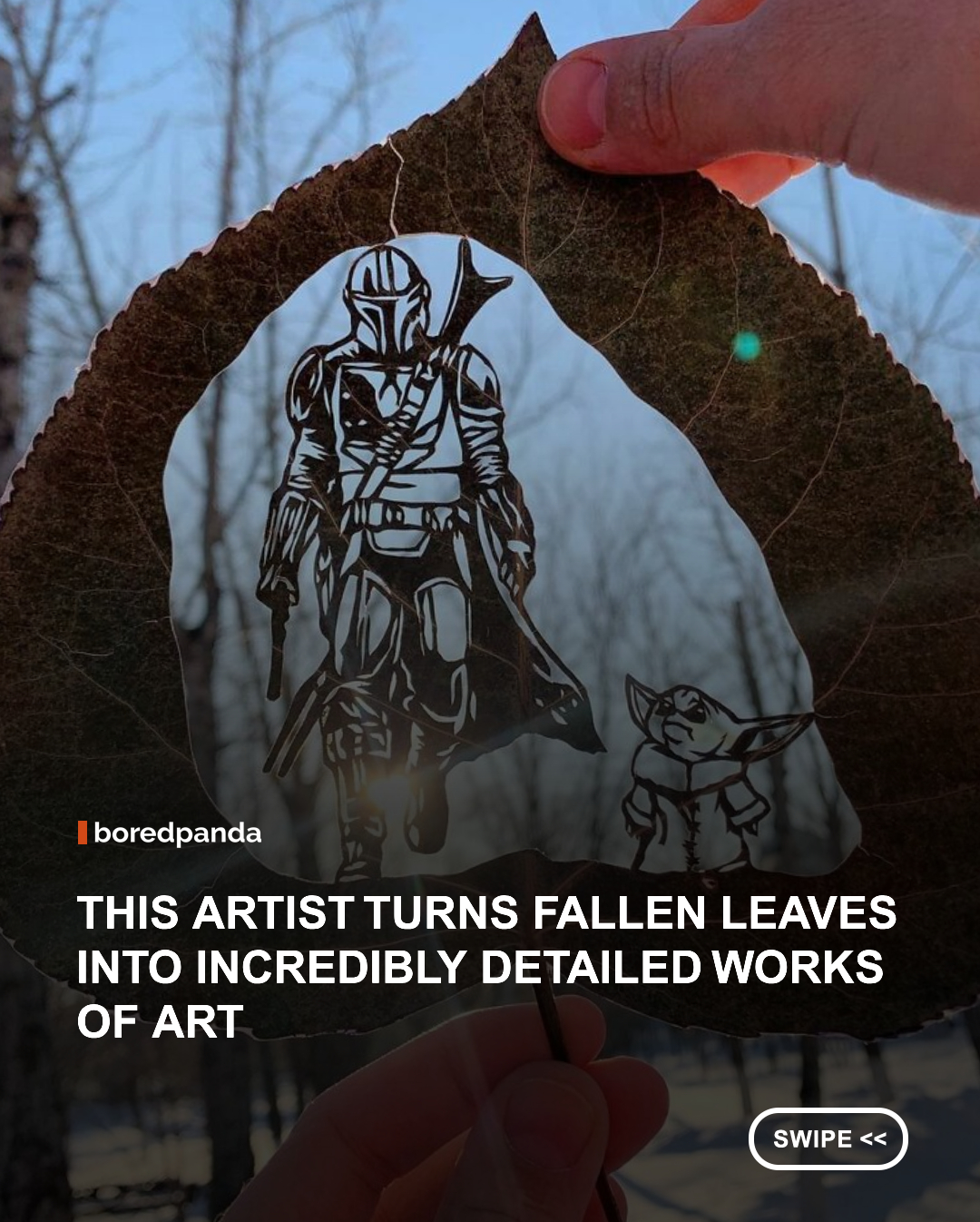 What looks like an ordinary fallen leaf can become something completely different in the hands of artist Kanat Nurtazin.

@kanat_n

The Kazakhstan-based self-taught artist creates intricate artworks by carefully drawing designs onto real leaves and cutting them out with a razor knife. He began experimenting with the technique in 2013 as part of his ongoing “100 Methods of Drawing” project, which explores different materials and ways of creating art.



Nurtazin usually works with maple leaves because of their color, texture, and shape. After carefully preparing each design, he photographs the finished piece against a carefully chosen background and angle, turning the fragile leaf into a tiny scene or illustration.

LeafArt #LeafCutting #PaperArt #NatureArt #ArtAndNature #KanatNurtazin  
