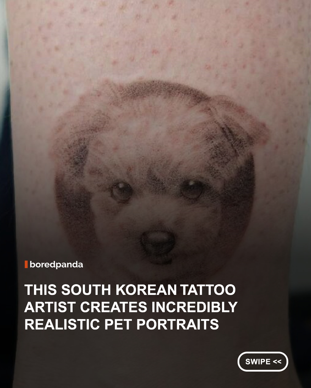 T.A.E_T @t.a.e_t (Taeseok Park) is a South Korean tattoo artist known for his finely detailed pet portraits that blend realism with subtle minimalism. His work focuses on capturing the essence of animals, primarily cats and dogs with the occasional rabbit, through precise shading and soft textures that give each design a lifelike presence.

Rather than creating bold or heavily stylized tattoos, he emphasizes emotional resonance by using delicate lines and careful composition to reflect the bond between owners and their pets. Each piece functions as both a personal keepsake and a visual story, turning memory into lasting art.