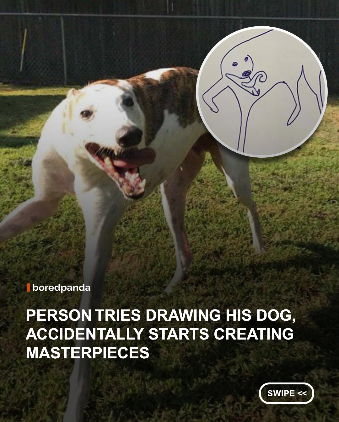 What if the secret to drawing dogs perfectly is… not trying to draw them perfectly at all?

Artist Jay Cartner creates hilariously wonky doodles of real dogs, turning their strange poses, goofy expressions, and individual personalities into deliberately terrible drawings.

The sketches are simple, messy, and sometimes barely resemble the dogs they’re based on, yet somehow they still capture exactly what makes each one special. Proof that you don’t need artistic talent to understand a dog’s vibe. 🐶