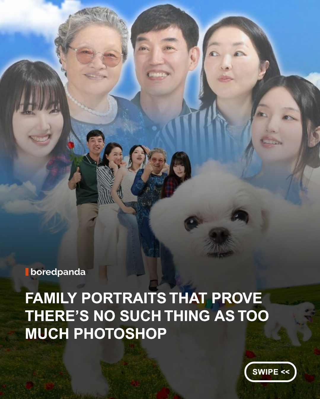 Family portraits are usually meant to capture a special moment and give you something to look back on for years… But 'Bora’s Photo Shop' @borasphotoshop takes that idea to a whole new level, turning ordinary family photos into dramatic scenes that look like they belong in a fantasy movie or another universe.

The artist creates personalized digital portraits featuring people, couples, families, and their beloved pets. In their work, cats can become giant celestial creatures floating through space, dogs can turn into heroic characters, and ordinary family members can suddenly find themselves surrounded by castles, planets, horses, clouds, lasers, and all kinds of bizarre settings.
