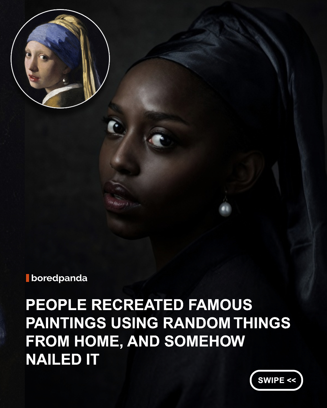 What happens when people recreate famous paintings using whatever they can find around the house? You get some surprisingly clever and hilarious works of art. 🎨

From clothing and furniture to food, household objects, and even pets, these recreations transform everyday things into costumes, props, and backdrops inspired by iconic masterpieces. Some are impressively accurate, while others take a much more creative approach.