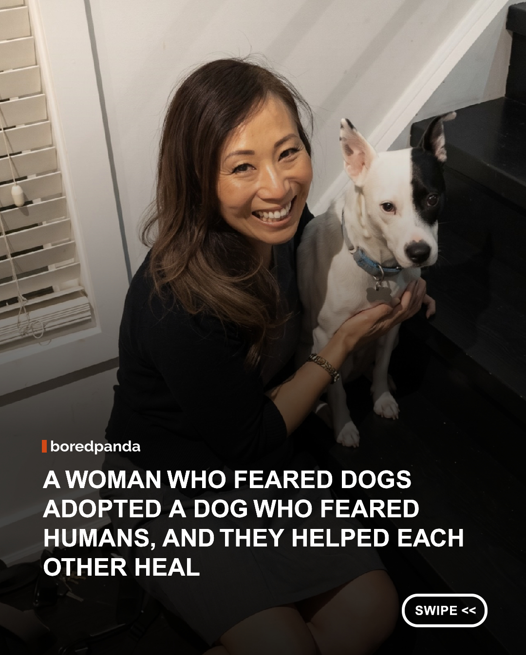 Teresa Hwang spent most of her life afraid of dogs after being bitten twice. But when she adopted Boo, a rescue dog terrified of humans, they began an unexpected journey of healing together. 🥹❤️

With patience, consistency, and unconditional love, Teresa helped Boo learn to trust people, while he helped her overcome her own fear of dogs. Little by little, they both grew more confident and built an unbreakable bond.

Teresa now describes Boo as the son she never had, proving that sometimes, the best way to overcome your fears is to face them together. 🐶💕

📸 Credits: TikTok / @ketophoria

#RescueDog #DogAdoption #OvercomingFear #HumanAnimalBond #HeartwarmingStories #AnimalRescue #DogLovers