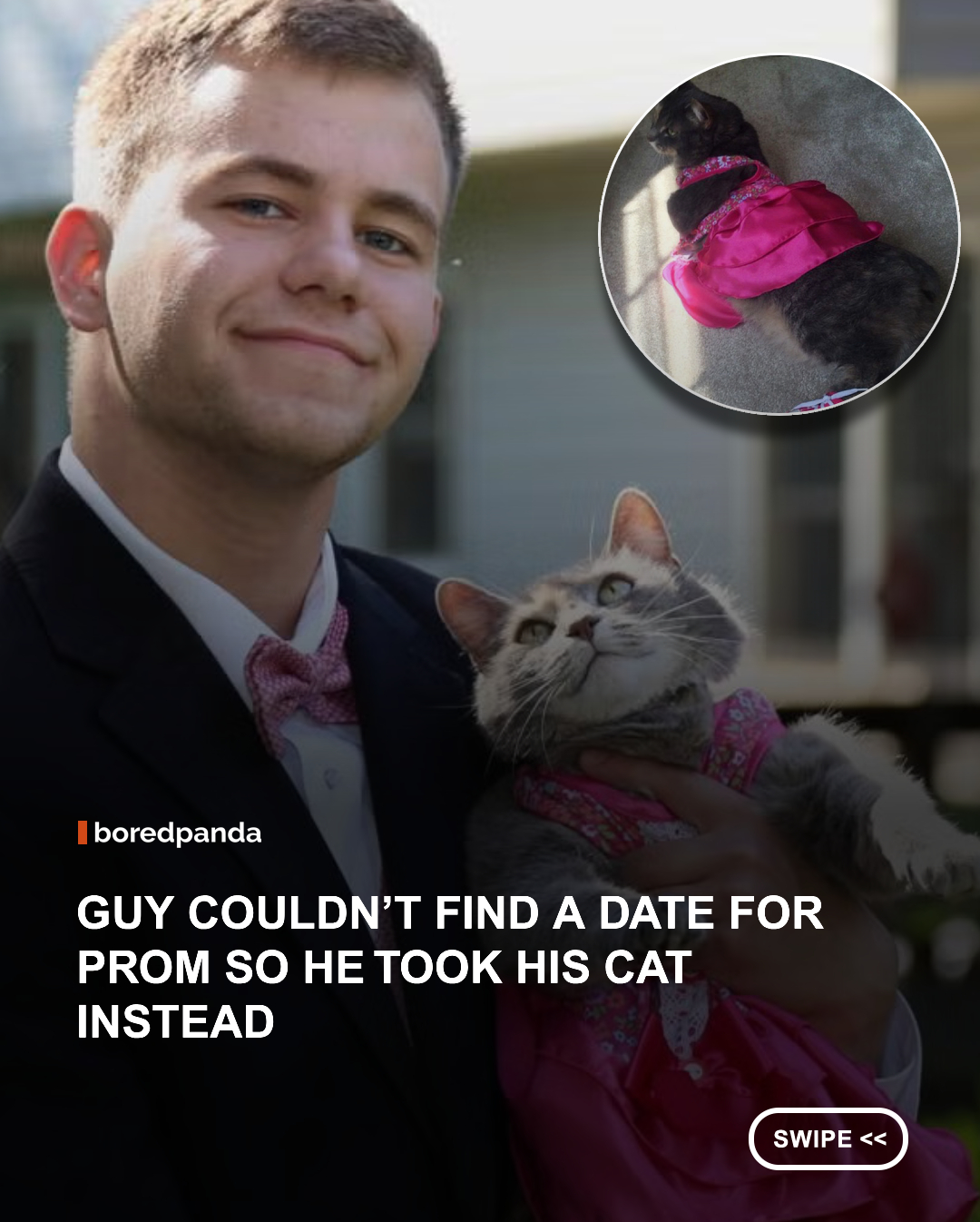 Finding a Prom date can be a stressful experience for many. Just ask Sam Steingard. With the school dance drawing ever nearer, the 18-year-old singleton from The States still hadn’t found a girl to take. So instead of going alone or refusing the Prom night at all, he did what any rational and sound-minded person would do in such a situation. He took Ruby, his adorable cat.

Ok, so he didn’t take his cute cat to the actual dance (as it might have been too stressful for her), but he did at least pose for some prom photos with her. Sam’s sister Caroline brought the picture to the world’s attention by posting the snap of the happy couple on Imgur (I’m sure Sam appreciated that!) and Sam and Ruby have since become unlikely internet superstars. They might not have gone to a date night together, but they still make a pretty cute couple! #Cats #Animal #Prom 