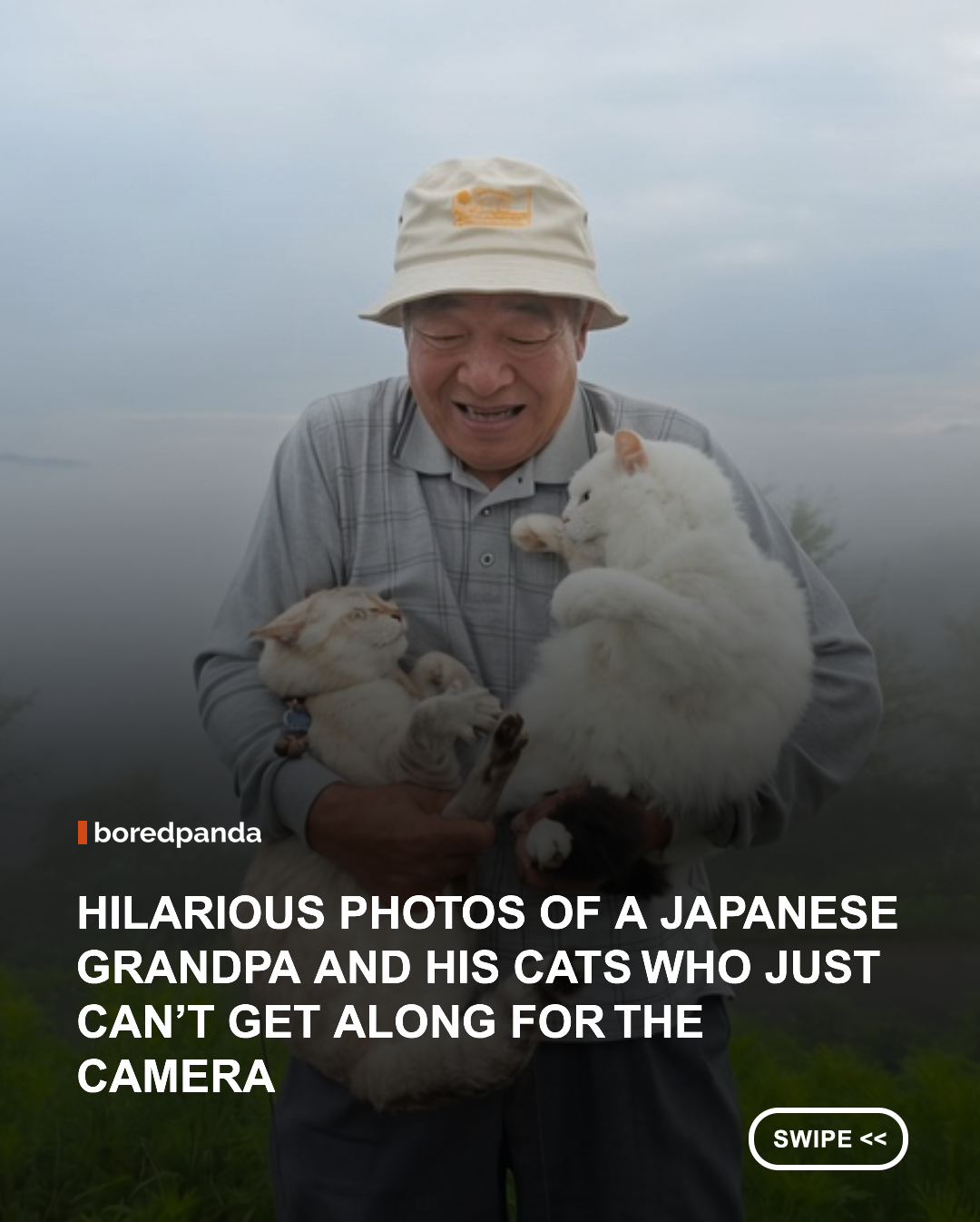 Taking a family photo should be easy, right? Just get everyone together, smile, and click. Unless, of course, your family includes cats. 😂🐾
A Japanese grandfather shares his attempts to capture beautiful photos with his two cats, Chouchou and Miko, and while the scenery is absolutely stunning, the cats seem determined to make every photo session a little more chaotic.
From refusing to cooperate to turning peaceful portraits into hilarious little disagreements, these feline family members clearly have their own ideas about how a photoshoot should go. 😹
The grandfather wants picture-perfect memories. The cats want absolutely nothing to do with his plans. And somehow, that's what makes these photos so precious. ❤️
📸 Instagram: @catwolf0314
#CatPhotography #FunnyCats #CatLovers #CatsOfInstagram #CatLife #PetPhotography #CatsBeingCats